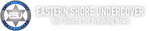 eastern shore undercover logo