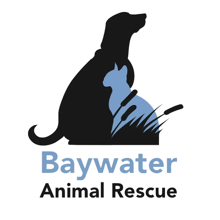 Photo of Baywater Animal Rescue