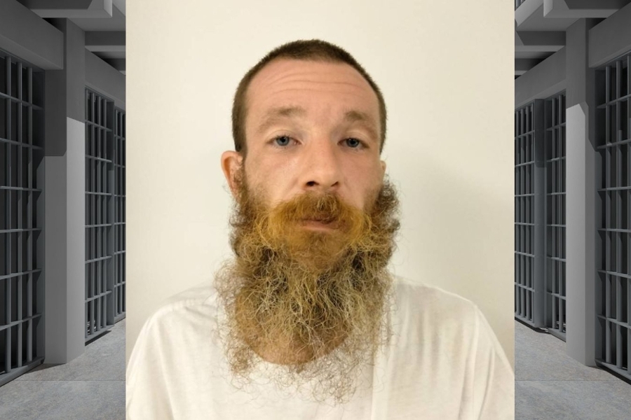 News Picture