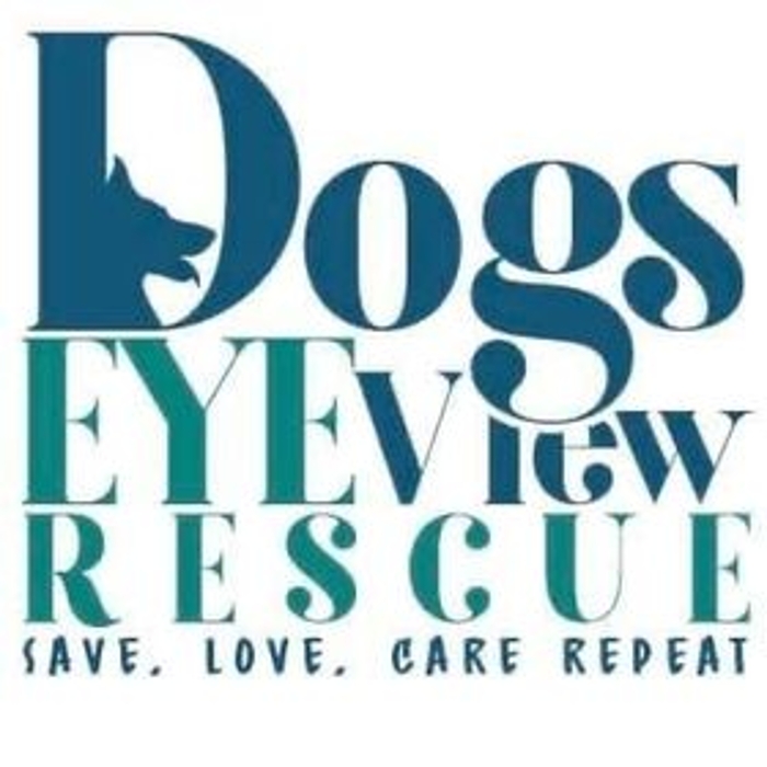 Photo of Dogs Eye View Rescue