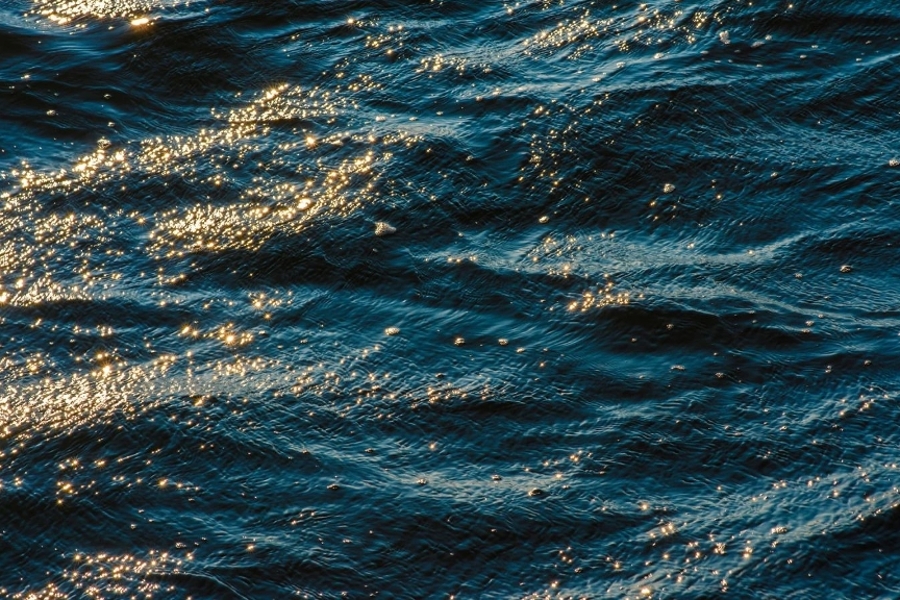 News Picture