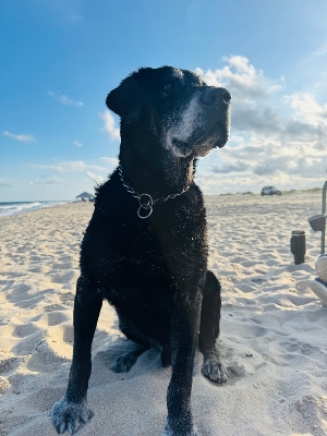 Photo of Bubba