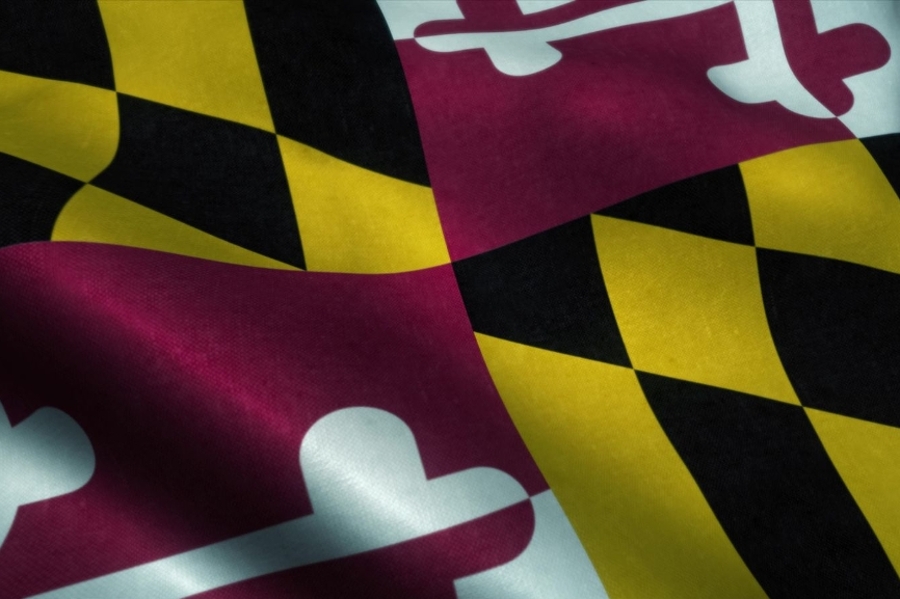 News Picture
