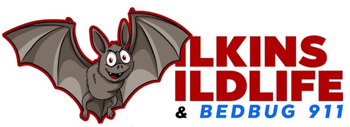 Photo of Wilkins Wildlife & Bedbugs 911